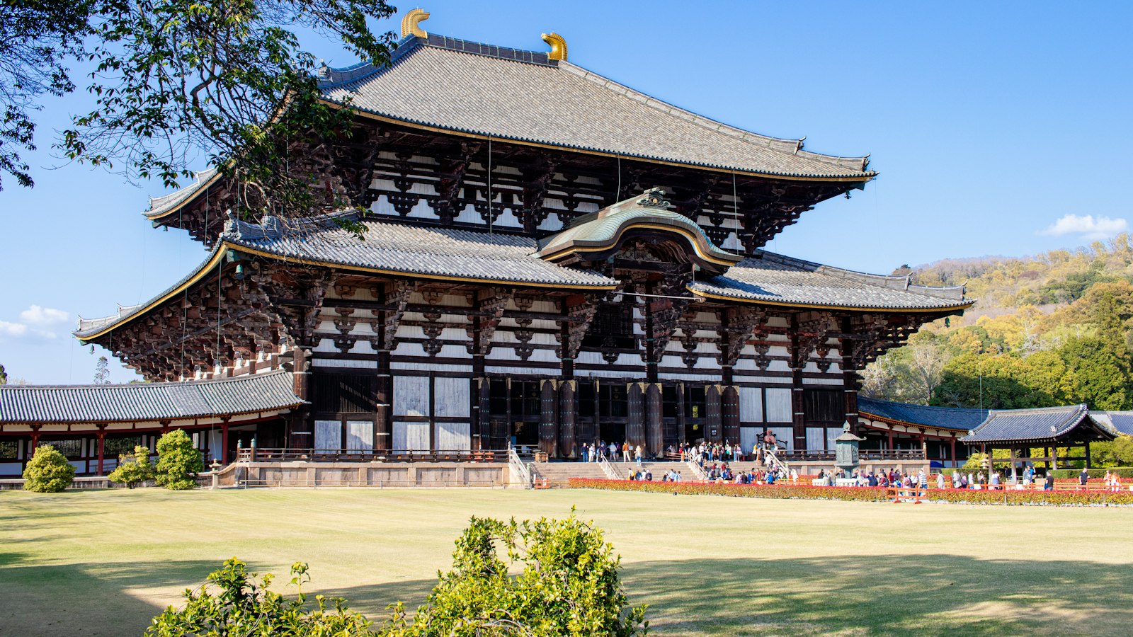 Todai-ji's Great Buddha Hall across the open grounds